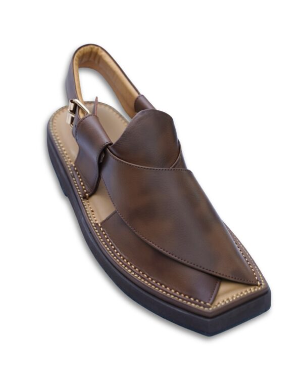 WhatsApp Image 2025-10-06 at 1.07.27 PM (2) Double Shade Kaptaan Chappal