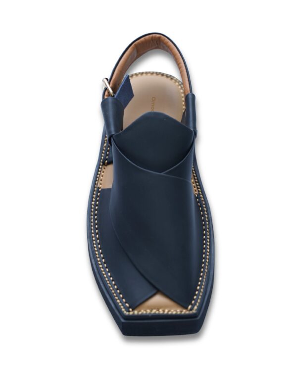 WhatsApp Image 2025-10-06 at 1.07.29 PM (1) Black Kaptaan Chappal