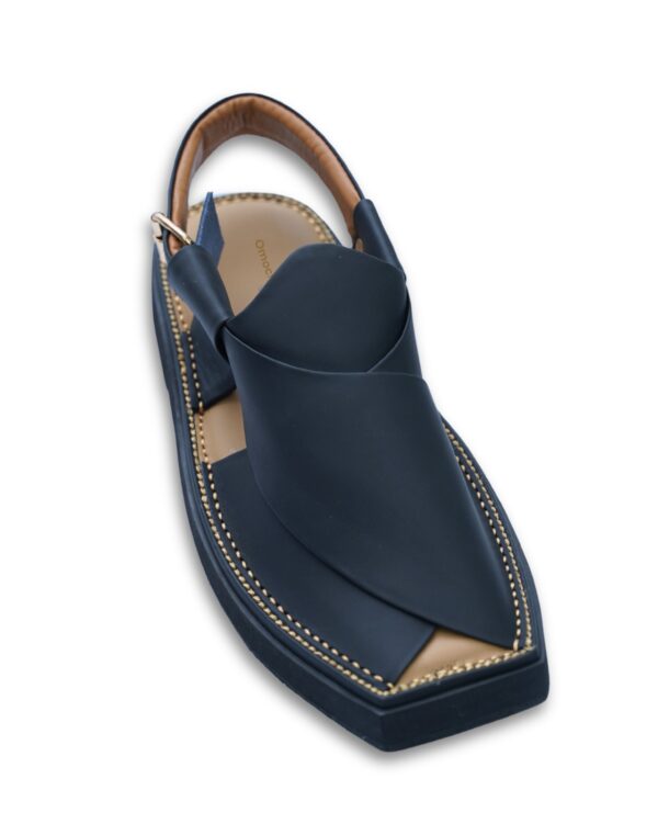 WhatsApp Image 2025-10-06 at 1.07.29 PM (2) Black Kaptaan Chappal