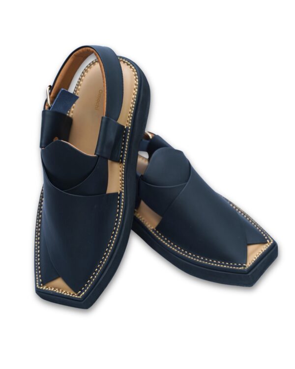 WhatsApp Image 2025-10-06 at 1.07.30 PM (1) Black Kaptaan Chappal