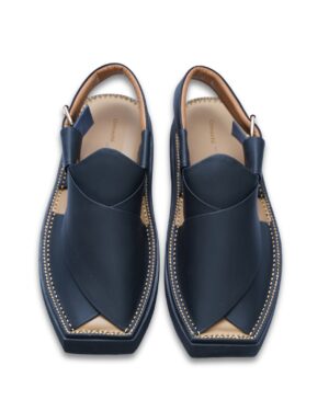 WhatsApp Image 2025-10-06 at 1.07.31 PM Black Kaptaan Chappal